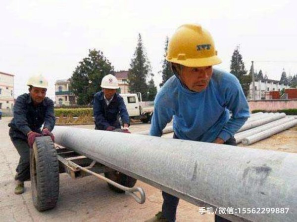 電桿 (134).jpg